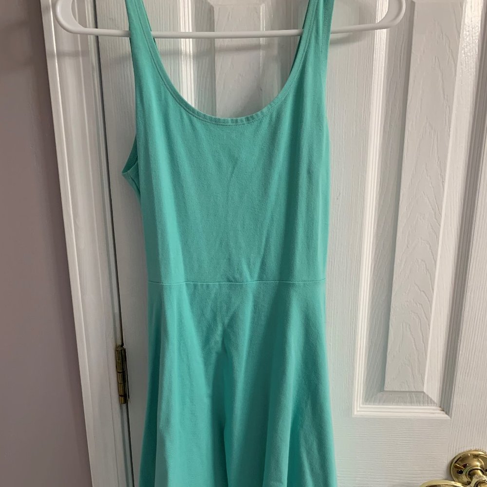 Express Mint Green Skater dress
